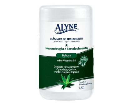 Máscara de Tratamento Alyne Reconstrução e Fortalecimento 1Kg